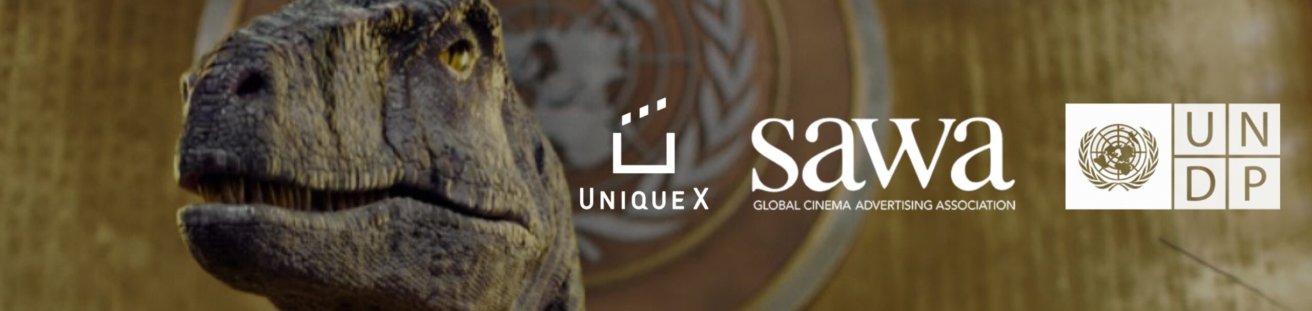 Sawa UNDP Unique X