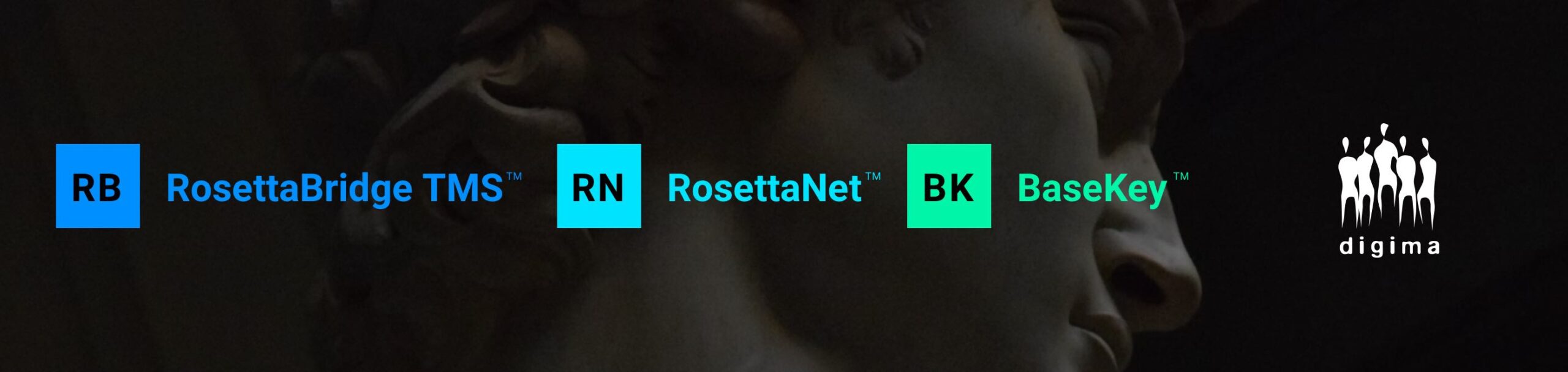 Digima RosettaBridge RosettaNet BaseKey